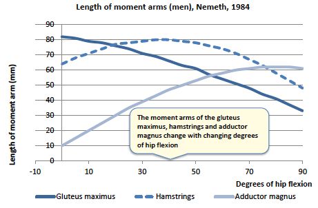 Glutes, Hams, Adductors Extension at Degrees Hip Flexion